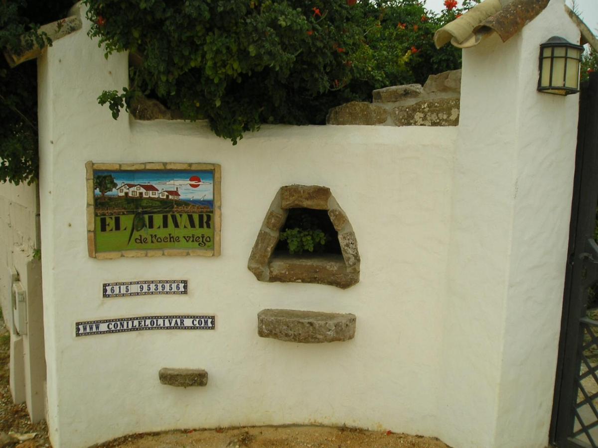 El Olivar De Roche Viejo Коніль-де-ла-Фронтера Екстер'єр фото