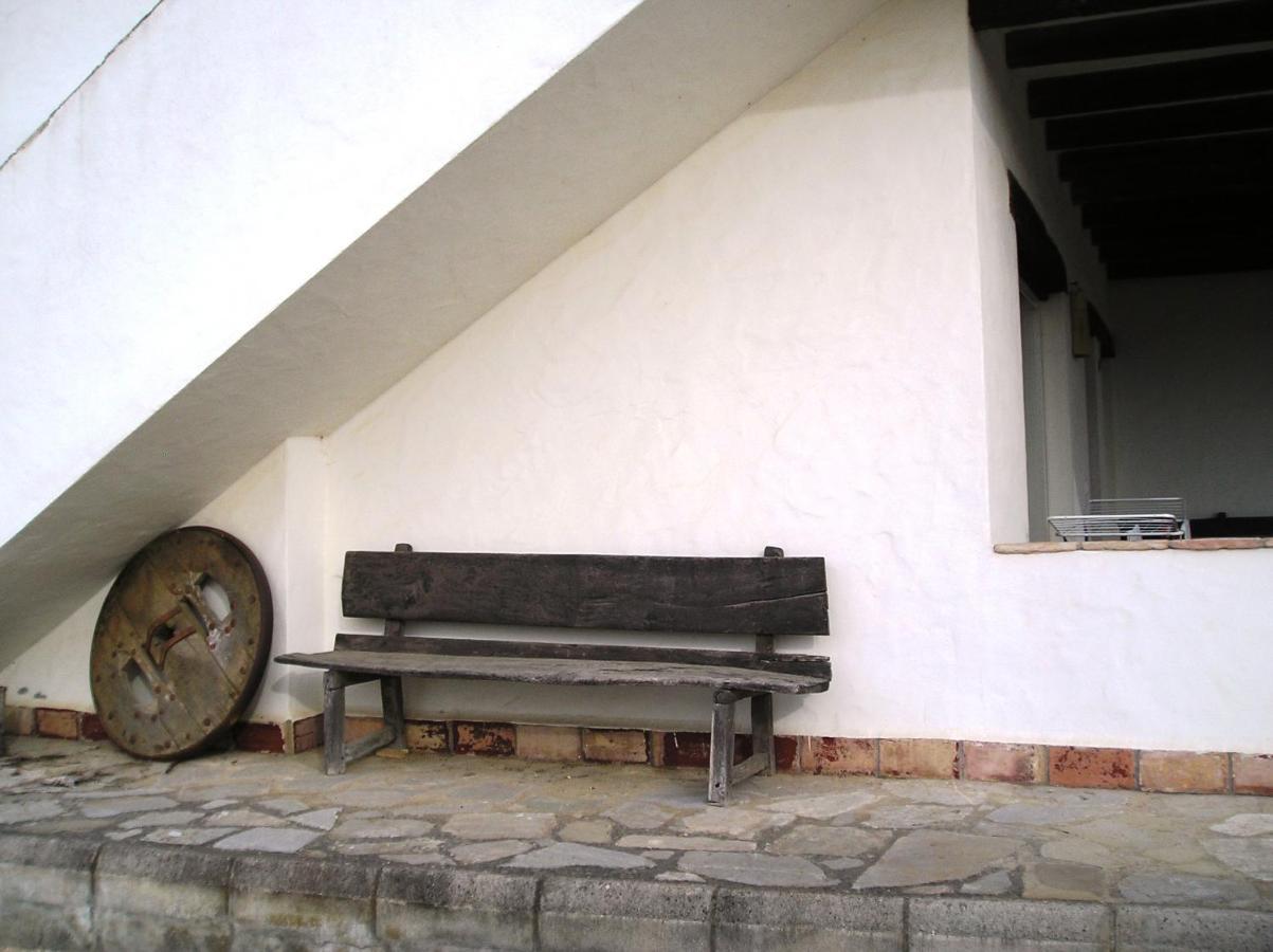 El Olivar De Roche Viejo Коніль-де-ла-Фронтера Екстер'єр фото
