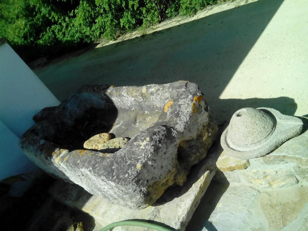 El Olivar De Roche Viejo Коніль-де-ла-Фронтера Екстер'єр фото