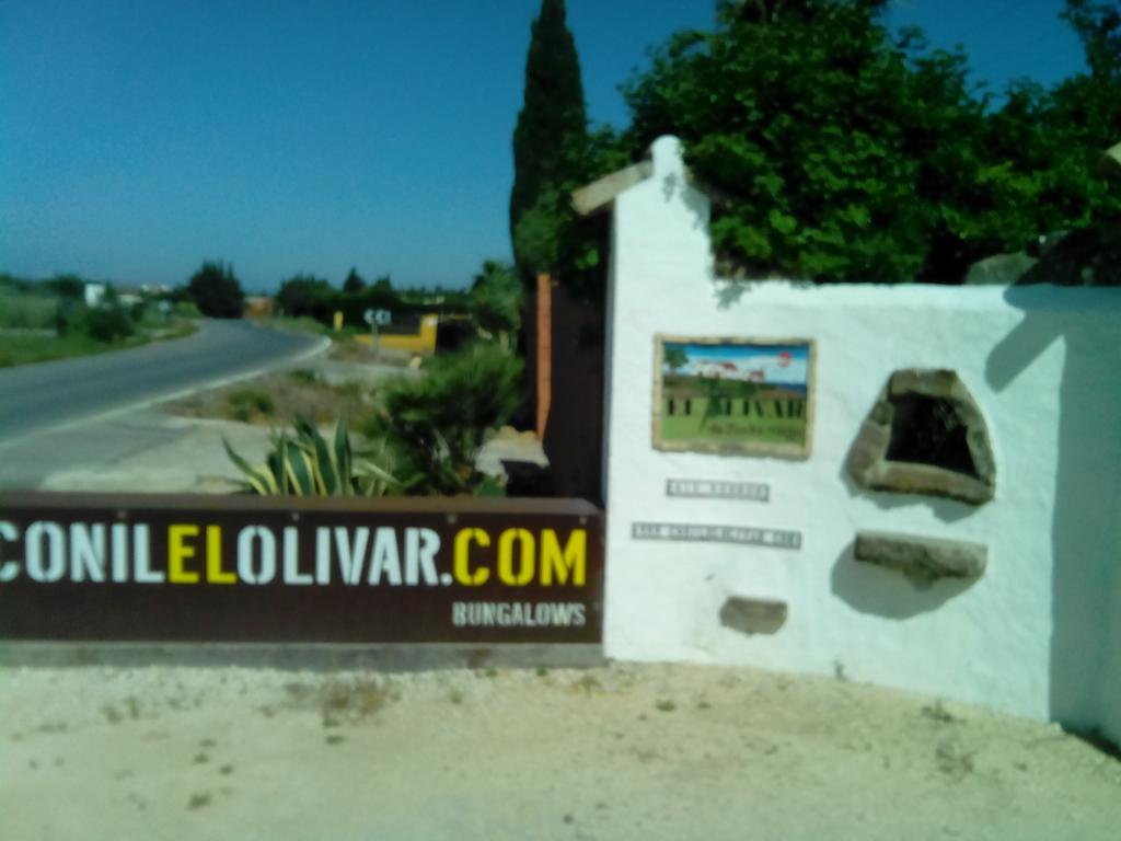 El Olivar De Roche Viejo Коніль-де-ла-Фронтера Екстер'єр фото
